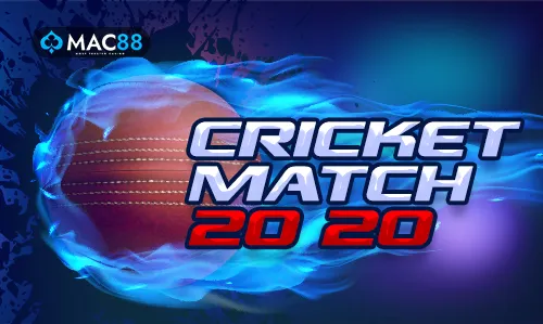 CRICKET MATCH 20-20