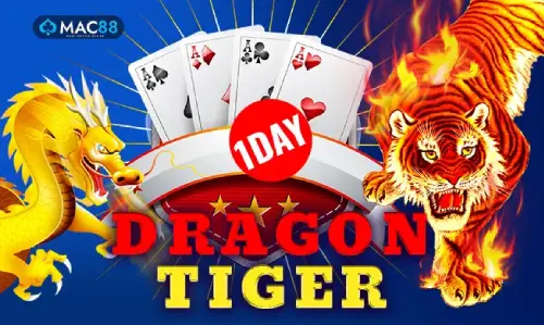 1 DAY DRAGON TIGER