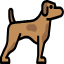 Greyhound Racing